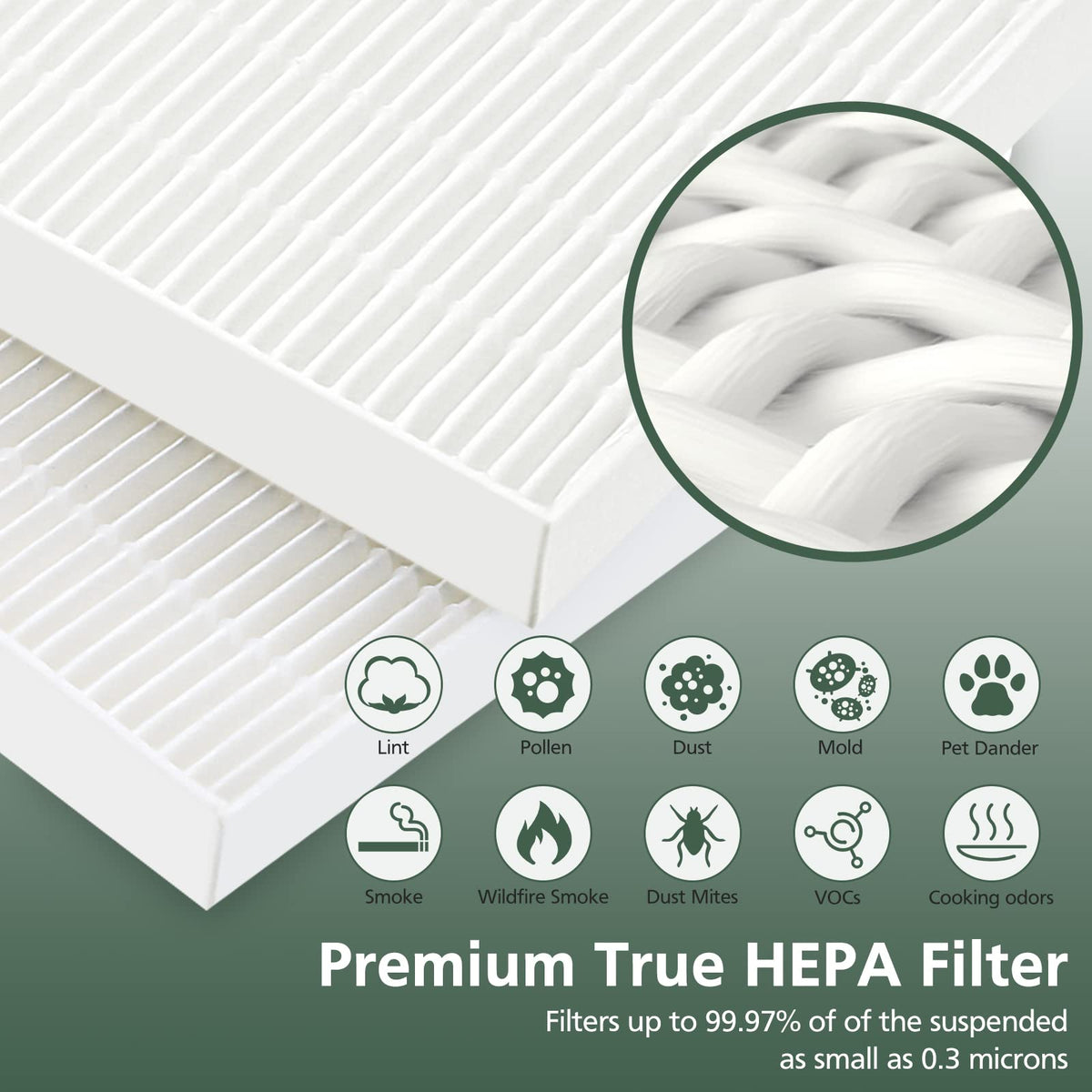 Filter H 5500 2 Replacement Filter For Winix Air Purifier 116130 Repla ...