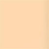 Lee Filters 1/2 CTO 24x21 Gel Filter Sheet