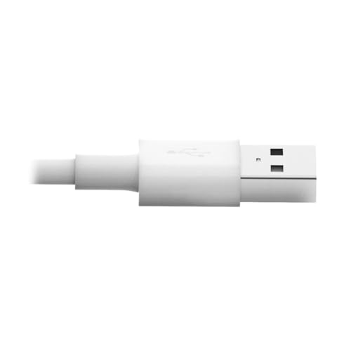 Tripp Lite Apple Mfi Certified 6 Feet 2M Lightning To Usb Cable Sync Charge Iphone/Ipod/Ipad   White (M100 006 Wh)