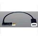 10'' Usb A A  Ext Cable