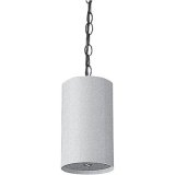 Valcom Surround Pendant Home Speaker Set Of 1 White (S 520B W)
