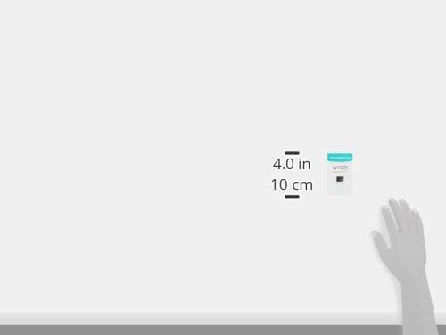 Wyze Expandable Storage 32Gb Microsdhc Card Class 10, Black