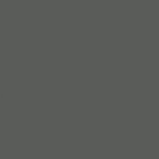 Savage Seamless Background Paper   #27 Thunder Gray (107 In X 36 Ft)