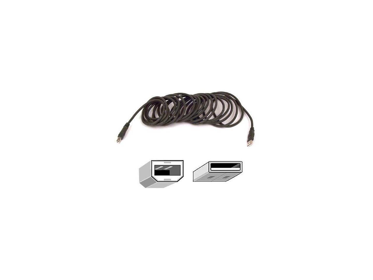 Cable Usb Belkin 10Ft F3U133B10