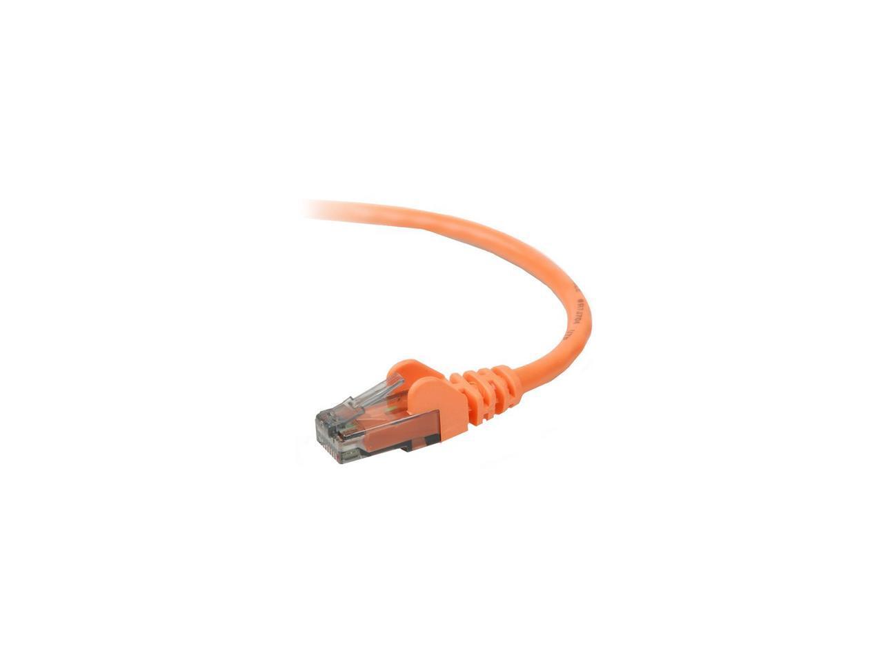 Nw Cable Belkin  A3L980 06 Org S R