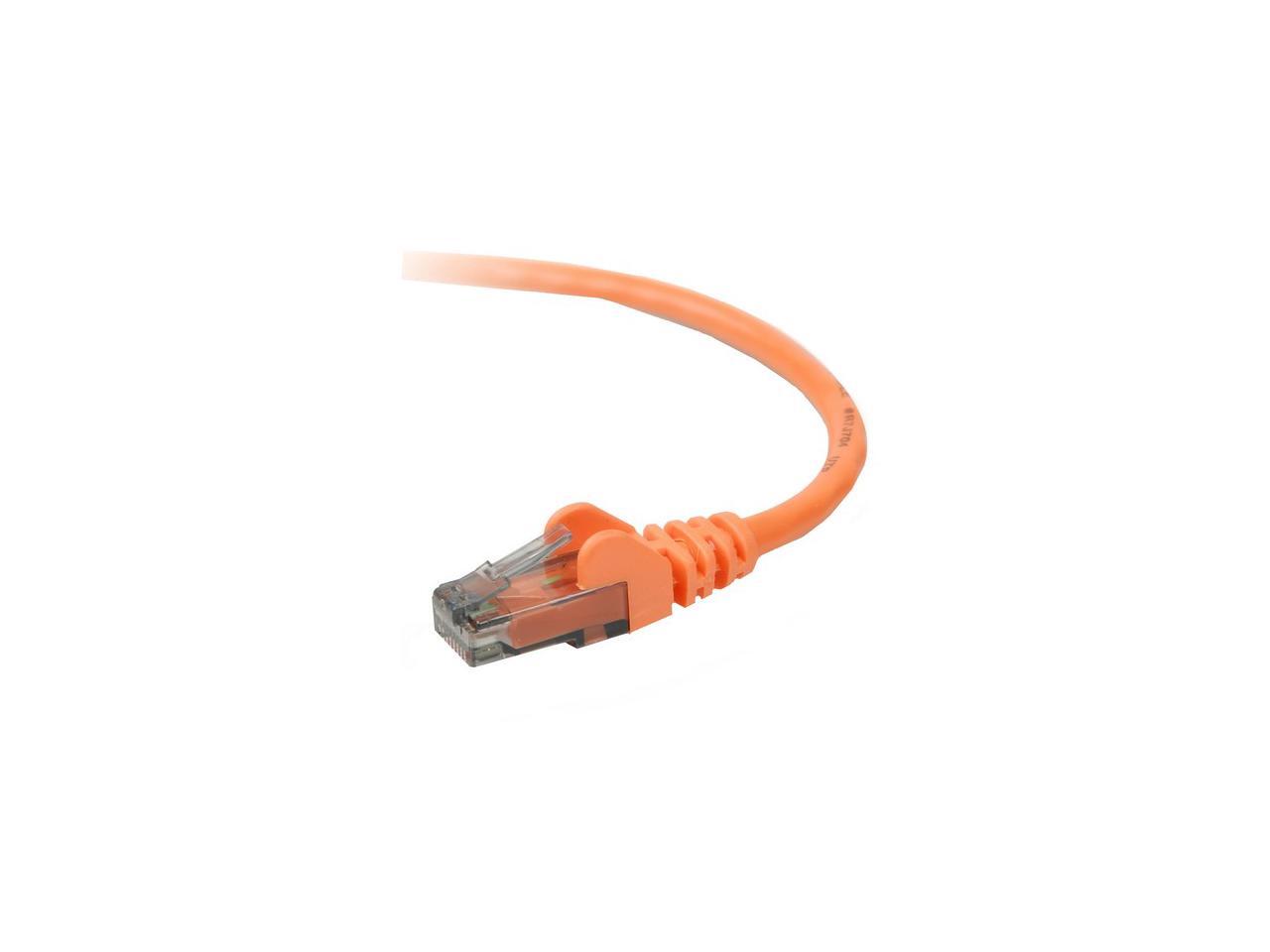 Nw Cable Belkin  A3L980 06 Org S R