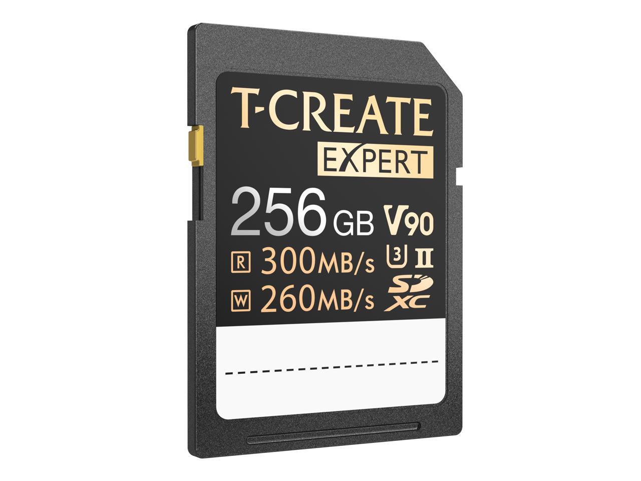 Flash 256Gteam Ttcsdx256Giiv9001 R