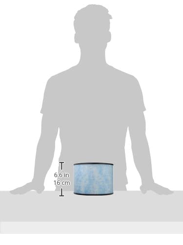Instant Hepa Air Purifier Replacement Filter For Home Allergens & Pet Danders, Removes 99.9% Of Dust, Smoke, & Pollen With Plasm
