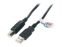 Startech.Com Usb 2.0 A To B Cable   Usb Cable   4 Pin Usb Type A (M)   4 Pin Usb Type B (M)   15 Ft ( Usb / Hi Speed Usb )   Mol