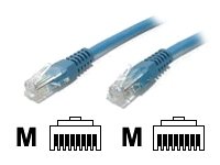 12Ft Blue Molded Cat5E Utp Patch Cable