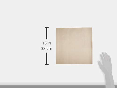 Homey 10 Pack Flexible Reusable And Resizable Non Stick Teflon Food Dehydrator Sheets, 14X14 Inches