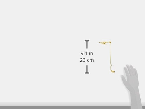 Vincent Bach Trombone Cleaning And Care Product (1816)
