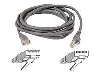 Belkin Cat5E Cable (A3L791 05 S)