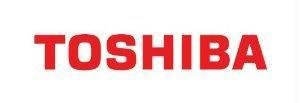 Axiom 2Gb Ddr3-1066 Sodimm For Toshiba Pa3856U-1M2G, Top Grade Chips And Compone