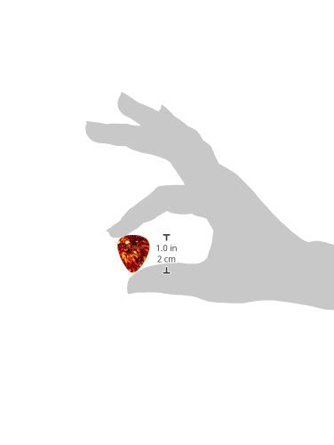 Fender Classic Celluloid Guitar Picks 451 Shape, Tortoise Shell, Medium, 12 Pack