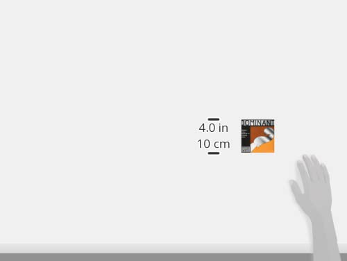 Thomastik Infeld Violin Strings (1291/2)