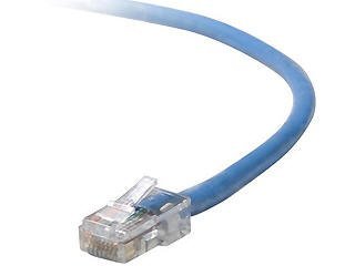6In Cat5E Patch Cable, Utp, Blue Pvc Jacket, 24Awg, T568B, 50 Micron, Gold Plate (A3L791 06In Blu)  