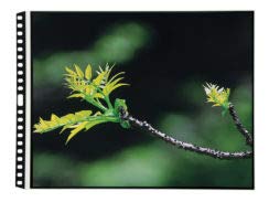 Profolio By Itoya, Art Profolio Polyglass, 10 Pack Multi Ring Binder Refill Pages   Portrait, 9 X 12 Inches