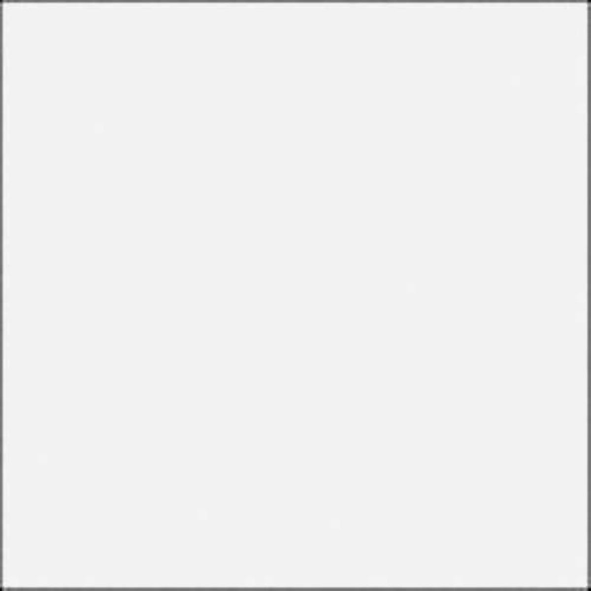 Rosco E-Colour #250 1/2 White Diffusion (21x24 Sheet)