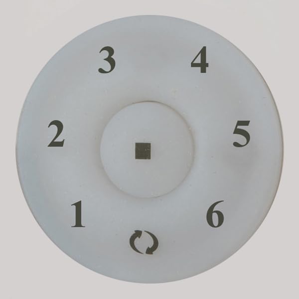 Minka-Aire Rc1000 Remote Control, White