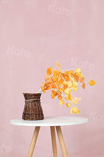 Kate 8Ft  10Ft Solid Light Pink Backdrop Portrait Photography Background For Photography Studio Children And Headshots Light Pin