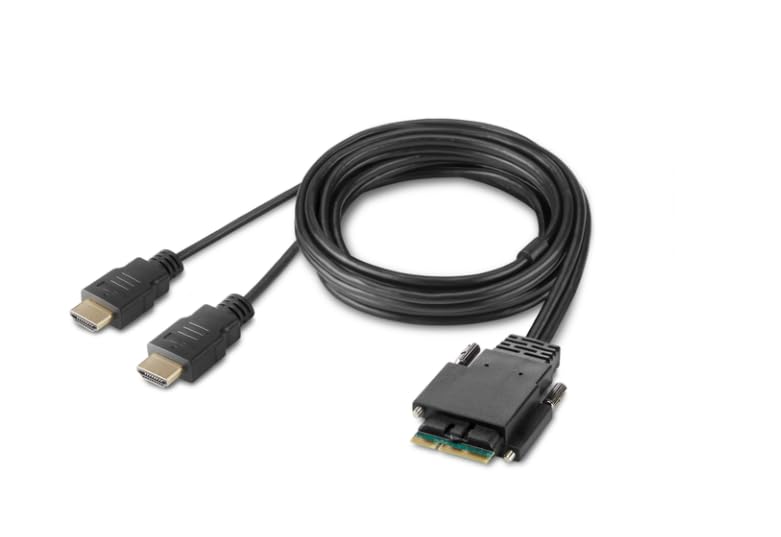HDMI and DP Dual Head Host Cbl