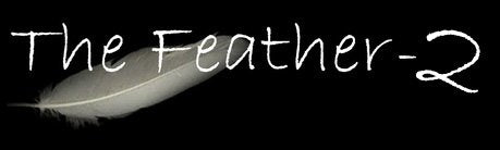 Myers Pickups The Feather-2 Accordion Microphones with 2 Flexible Micro-Goosenecks