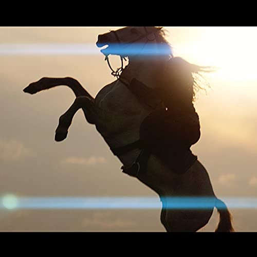 Sirui 75Mm F1.8 1.33X Aps C Anamorphic Lens For Mft Mount, Blue Flare