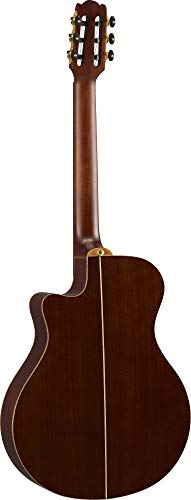Yamaha Ntx3 Nt Cutaway Acoustic-Electric Nylon-String Classical Guitar With Reinforced Carrying Bag , Natural