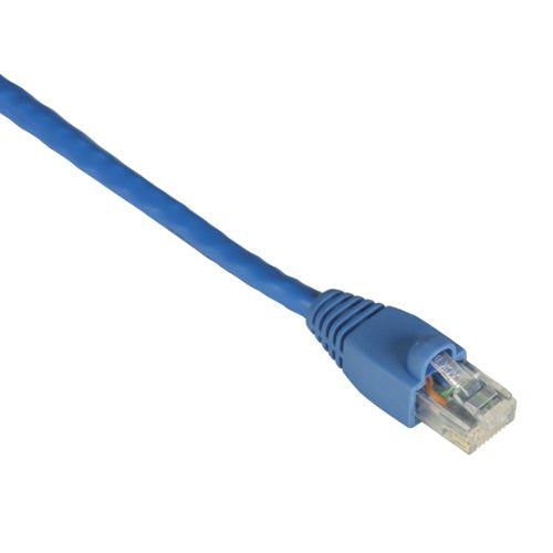Black Box Gigatrue Cat. 6 Utp Patch Cable   Rj 45 Male   Rj 45 Male   5Ft   Blue