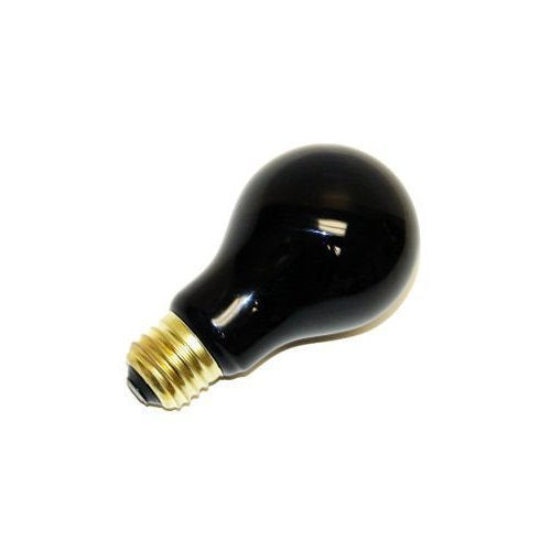Fun World 8871Ace Black Light Bulb, 75 Watts