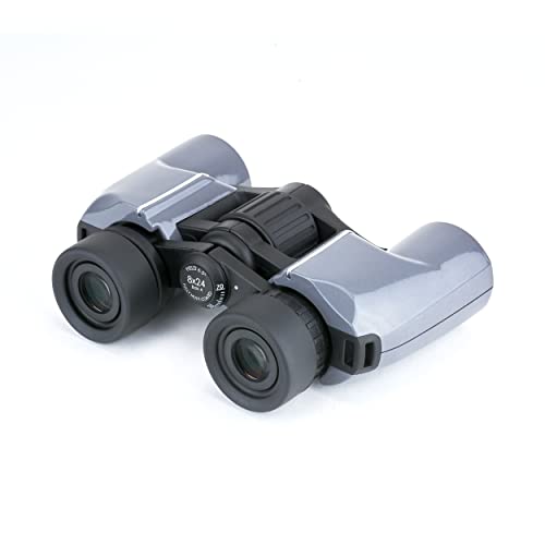 Carson Mantaray 8X24Mm Porro Prism Compact Binoculars For Travel, Camping, Hiking, Bird Watching, Sporting Events, Concerts And