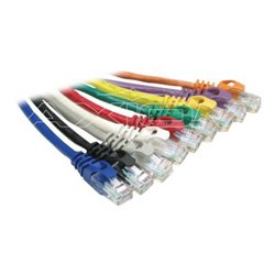 30Ft Cat6 Utp Patch Cbl Clear Snagle Org