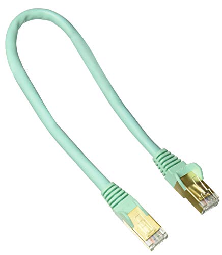 1Ft Aqua Cat6A Stp Cable