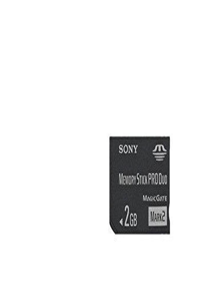 Sony 2 Gb Memory Stick Pro Duo Flash Memory Card Msmt2G