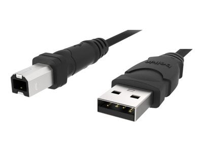 Belkin Hi Speed Usb 2.0 Cable. 6Ft Usb Ab Device Cable Dstp Usb. Type A Male Usb   Type B Male Usb   6Ft