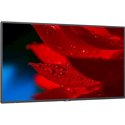49'' Led Lcd Uhd 500Nits Wcg