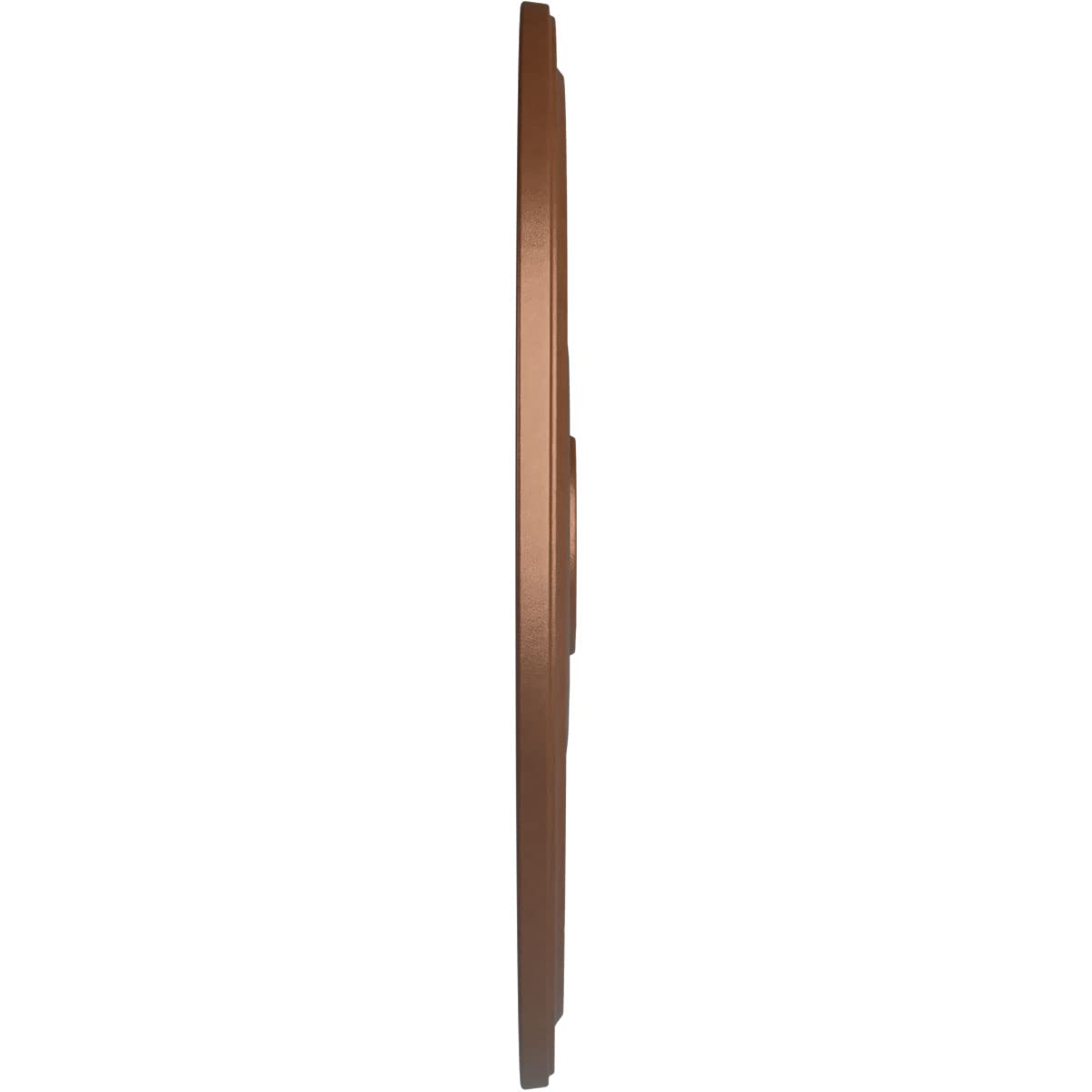 Ekena Millwork Cm24Dipos Diane Ceiling Medallion, 24Od X 3 5/8Id X 1 1/4P (Fits Canopies Up To 6 1/4), Hand-Painted Polished Cop