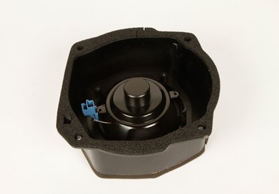 Acdelco Gm Original Equipment 15806970 Front Door Radio Speaker