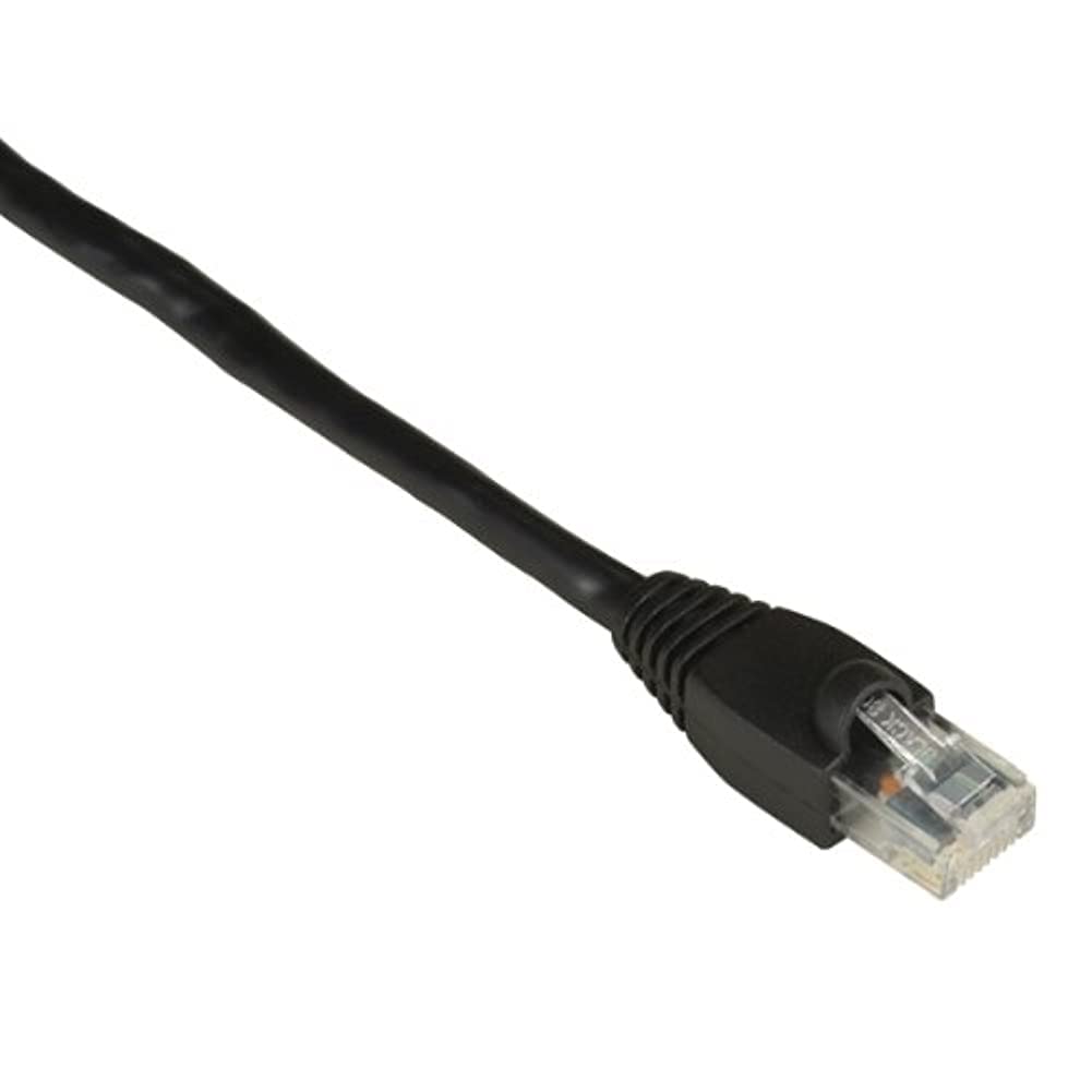Black Box Corporation 4Ft Black Cat6 550Mhz Patch Cable Utp Cm Snagless
