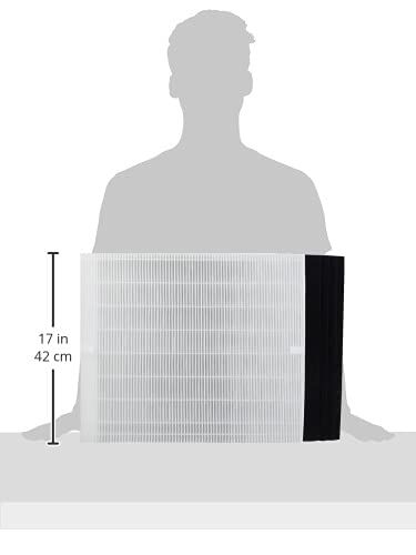 Genuine Winix 113250 Replacement Filter E For P450, White/Black