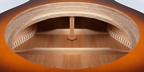 Recording King Rph R1 Ts Dirty 30'S Resonator Guitar