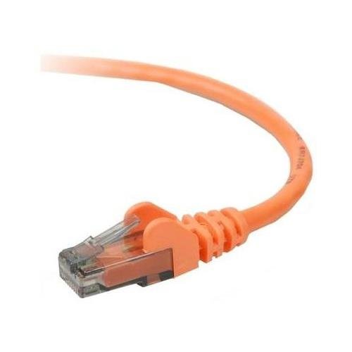 Belkin Cat.6 Patch Cable - Rj-45 Male - Rj-45 Male - 6ft - Orange