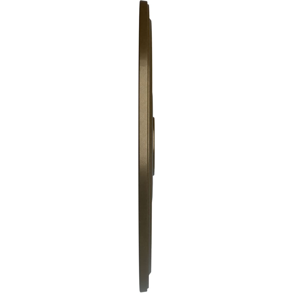 Ekena Millwork Cm24Dibrs Diane Ceiling Medallion, 24Od X 3 5/8Id X 1 1/4P (Fits Canopies Up To 6 1/4), Hand-Painted Brass