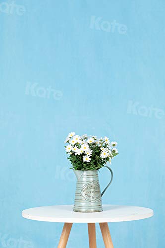 Kate 8Ft  10Ft Solid Light Blue Backdrop Portrait Photography Background For Photography Studio Children And Headshots Sky Blue
