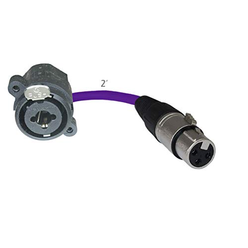 MCSPROAUDIO 2ft Pigtail: 1/4 TRS/XLR Female Panel Mount to XLR Female Plug (Purple)