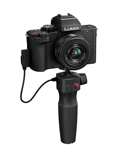 Panasonic Lumix G100 4K Mirrorless Camera, Lightweight Camera For Photo And Video, Built In Microphone, Micro Four Thirds With 1