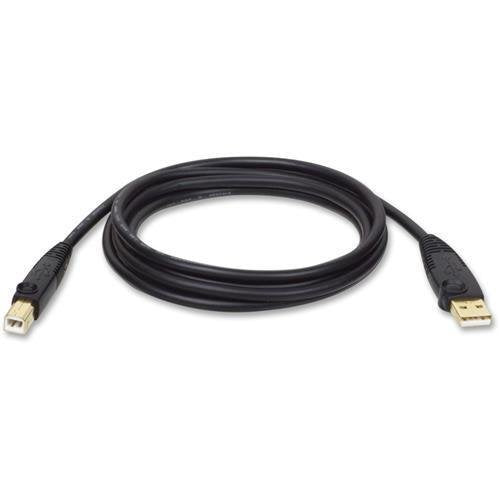 Tripp Lite 6 Ft. Usb 2.0 Gold Cable Usb A To Usb B (U022 006)