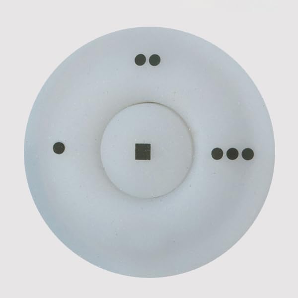 Minka Aire Hand Held Remote Control System   Rcs213