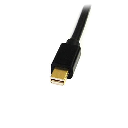Startech.Com 6 Ft Mini Displayport To Dvi Cable   M/M
